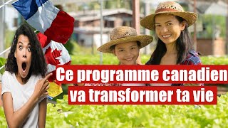 Révélation Choc  Le Programme Pilote Canadien Qui Change Tout [upl. by Wawro997]