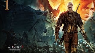 Прохождение The Witcher 2Темный  часть 1И снова проблемы [upl. by Rorrys423]