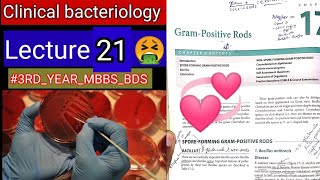 Special Bacteriology lectures8 Gram positive RODS Bacillus clostridum cornybacterium listeria [upl. by Suiravad585]