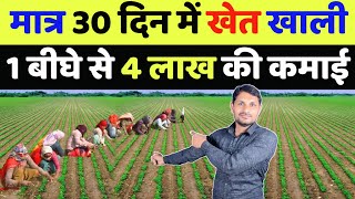 इस खेती में 10 हजार लगाकर 4 लाख कमाएं  dhaniya ki kheti kab kare  dhaniya ki kheti kaise Karen [upl. by Nessim]