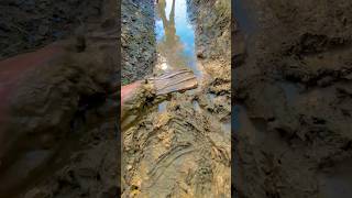 iPhone SE2020 Soil test and Water pack test 😱😯17ksubscribers viralvideoshorts experimrnt viral [upl. by Bevis]