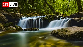 Waterfall Gentle Stream Sound in forest 247 Waterfall Sounds Flowing Water White Noise for Sleep [upl. by Arleyne]