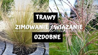 Trawy ozdobne  jak je przygotować do zimy Wiązanie traw 🌾🌾🌾 [upl. by Yvan473]