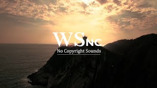 TRAVEL  AMBIENT NO COPYRIGHT SOUNDS [upl. by Aicenaj]