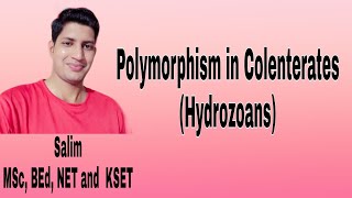 Polymorphism in CoelenterataHydrozoans  Different types of zooids in hydrozoans [upl. by Hayalat]