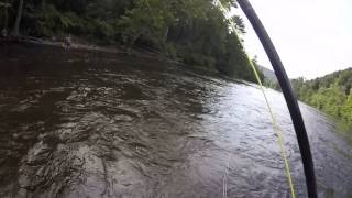 Fly fishing the housatonic in Connecticut [upl. by Kistner]