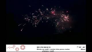 202 038 000 F10 10020 13 on Vimeo [upl. by Aihsemek]