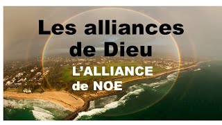 Lalliance de Noé  Les Alliances de Dieu  Valérie Gabriel  étude de la Bible [upl. by Johnette250]