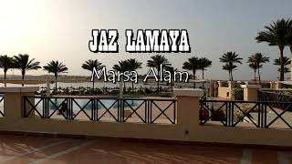 JAZ LAMAYA MARSA ALAM EGYPT 2020 Extremely popular one of the best hotels in Marsa Alam [upl. by Cotter34]