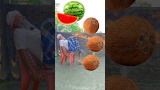 Rounding coconuts to Grapes Mango lichi amp Watermelon  Fruits names magic video [upl. by Aekahs540]