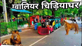 Gwalior zoo  चिड़ियाघर  zoovlog  ग्वालियर चिड़ियाघर  Vikash goyal [upl. by Marie-Ann]