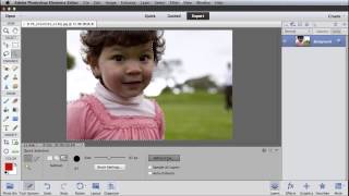 Selecting Fine Detail Using Refine Edge with Photoshop Elements 11 [upl. by Imelda86]