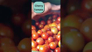 5 easy to grow edible plants to kickstart your kitchen youtubeshorts facts [upl. by Eniliuqcaj]