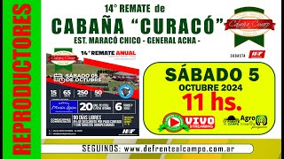 en VIVO 1030 hs  14° REMATE de CABAÑA CURACO  GRAL ACHA LP SÁB 5  OCTUBRE  2024 [upl. by Hayse556]