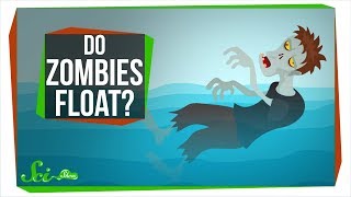 Do Zombies Float or Sink [upl. by Naasar213]