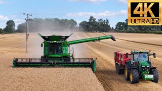 MONSTER XXL JOHN DEERE Combine Harvesting Wheat Along With a BEAST Tractor [upl. by Irovi511]