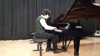 Piano Sonata No 8 in C minor Op 13 Sonata Pathetique 1st movement Beethoven [upl. by Neroled244]