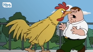 Family Guy The First Chicken Fight Clip  TBS [upl. by Aliab]