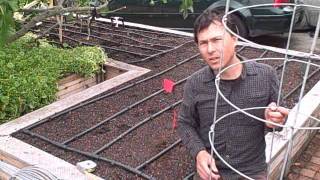 How to Plant 11 Tomato Plants in a Square Foot Raised Bed Garden [upl. by Anillek]