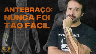 APRENDER TUDO SOBRE O ANTEBRAÇO NUNCA FOI TÃO FÁCIL [upl. by Bibeau]