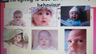 Bowlby Evolutionary theory of Attachment [upl. by Anais]