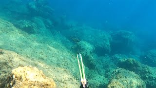 KUZEY KIBRIS ZIPKINLA KARIŞIK KIYI AVLARI SPEARFISHING IN CYPRUS [upl. by Early764]