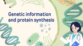 Genetic Information and Protein Synthesis [upl. by Emlynne]