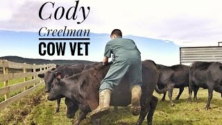 THE WILDEST COWS IVE EVER WORKED WITH VLOG113 [upl. by Ailecara]