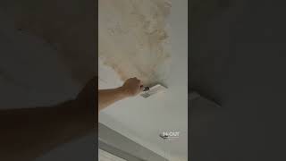 Ceiling Water Damage renovation drywallrepair damage renovation diy shorts [upl. by Gatian]