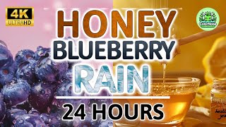 Soothing Blueberry Honey Rain Noise  24 Hours BLACK SCREEN  Study Sleep Tinnitus Relief amp Focus [upl. by Celle]