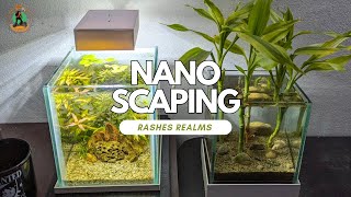 Nano tank aquascape  Build a Nano Aquascape for Beginners  Rashels Realms [upl. by Snapp]