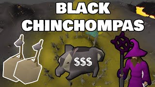 OSRS BLACK CHINCHOMPA Hunting guide 1m PER HOUR [upl. by Ramalahs]