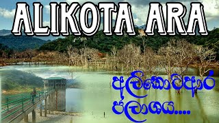 අලිකොටආර ජලාශය  Alikota ara wellawaya 🌍 🌅 [upl. by Hterrag]