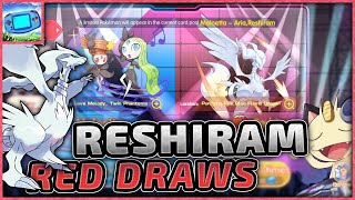 S Reshiram showcase amp Red Draws  Pocket Incoming [upl. by Janeczka]