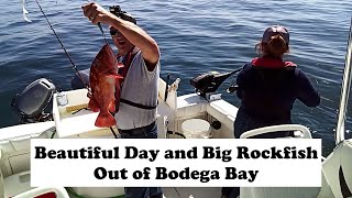 Beautiful day for catching big rockfish out of Bodega Bay [upl. by Petua]