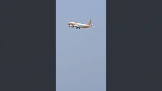 Fly flyscoot fly aviation [upl. by Persse694]