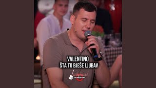 Sta to bjese ljubav Cover [upl. by Ididn648]