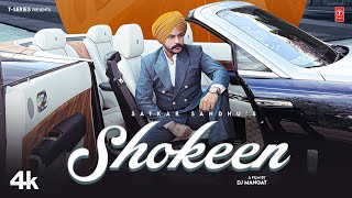 SHOKEEN Official Video  Satkar Sandhu  Latest Punjabi Songs 2023  TSeries [upl. by Anivas]