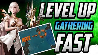 How to level up gathering skills FAST  Best location for gathering exp  Lost Ark Tips and Tricks [upl. by Rahm]