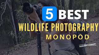 ⭕ Top 5 Best Monopod for Wildlife Photography 20232024 Review and Guide [upl. by Aynotak]