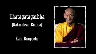 TATHAGATAGARBHA Kalu Rinpoche [upl. by Nakhsa]