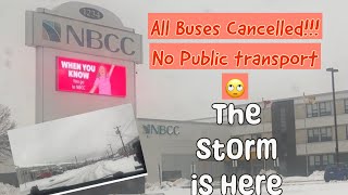 Buses got canceled  Gedi in first snow storm of Moncton New Brunswick Canada [upl. by Nylaroc723]