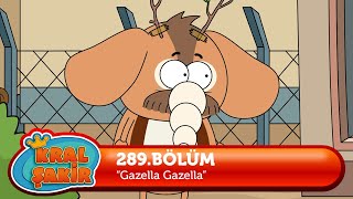 Kral Şakir 289 Bölüm  Gazella Gazella 🔥 YENİ BÖLÜM [upl. by Adnolaj367]