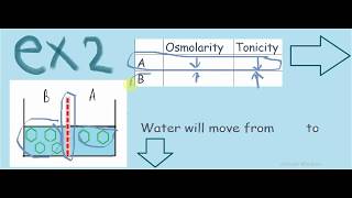 osmolarity vs tonicity  شرح بالعربي [upl. by Odyssey]