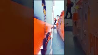 Why Do Ships Have Side Boarding Gates  shortsfeed facts ships pilot [upl. by Haron]