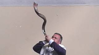 Som do Shofar de antilope Extra Grande de JerusalémIsrael [upl. by Eillas]