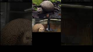 GLYPTODON animación nivel 10 Jurassic World the game m jurassic dinosaurjurassicpark dinosaur 🦖🦖 [upl. by Em]