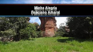 Minha Alegria  Feliciano Amaral [upl. by Ynnej]