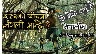 एक्लो टापुमा हुँदा बसेको प्रेम Castaway on the Moon नेपालीमा [upl. by Rolyt154]