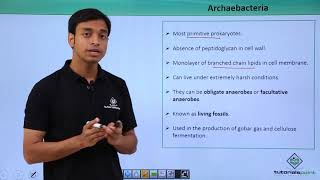 Class 11th – Archaebacteria – Introduction  Biological Classification  Tutorials Point [upl. by Ateuqahs]